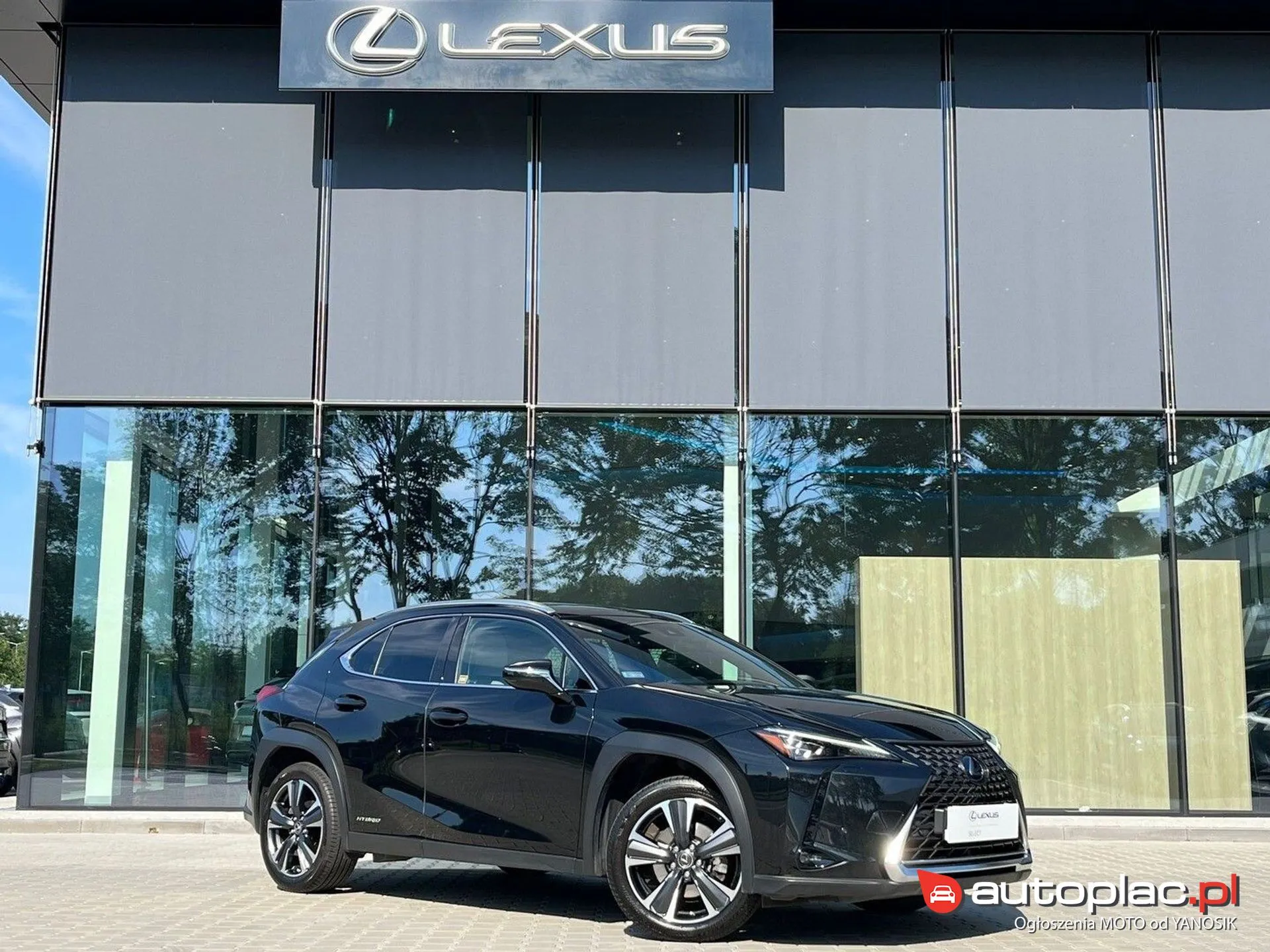 Lexus UX