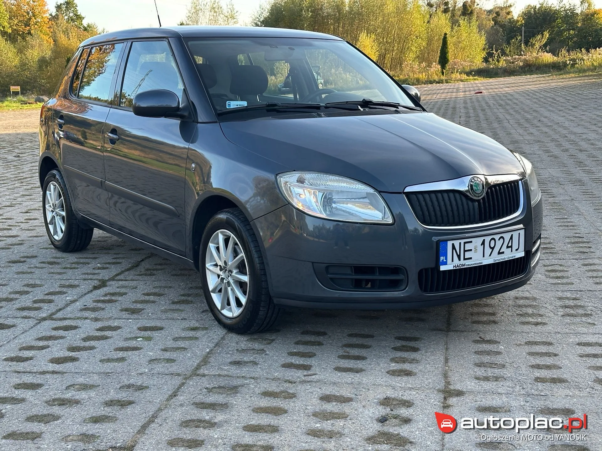 Skoda Fabia