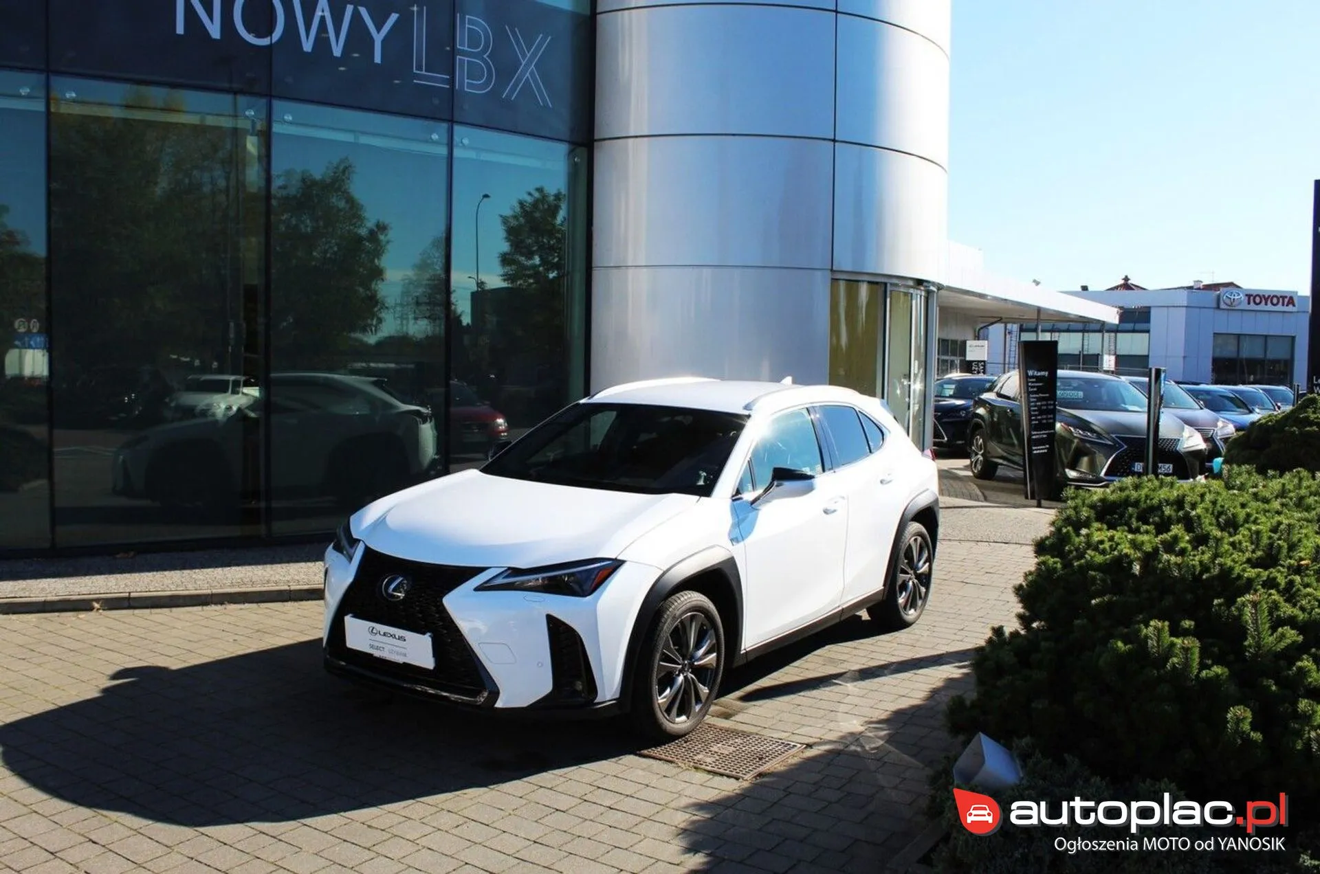 Lexus UX