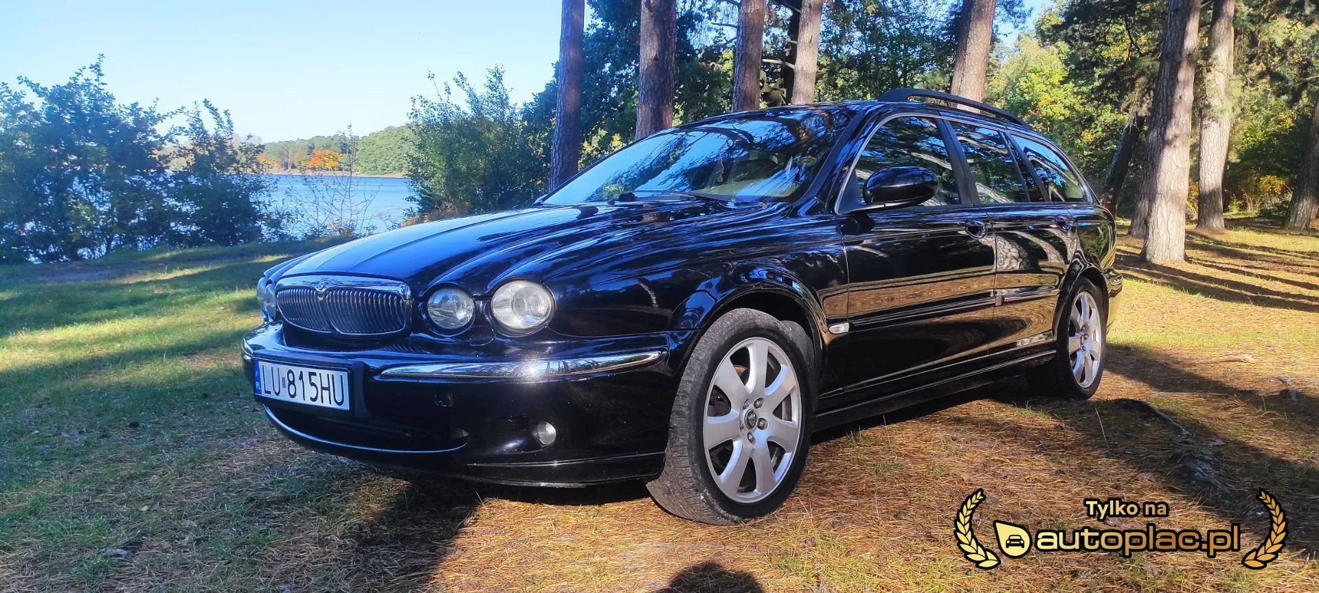 Jaguar X-type