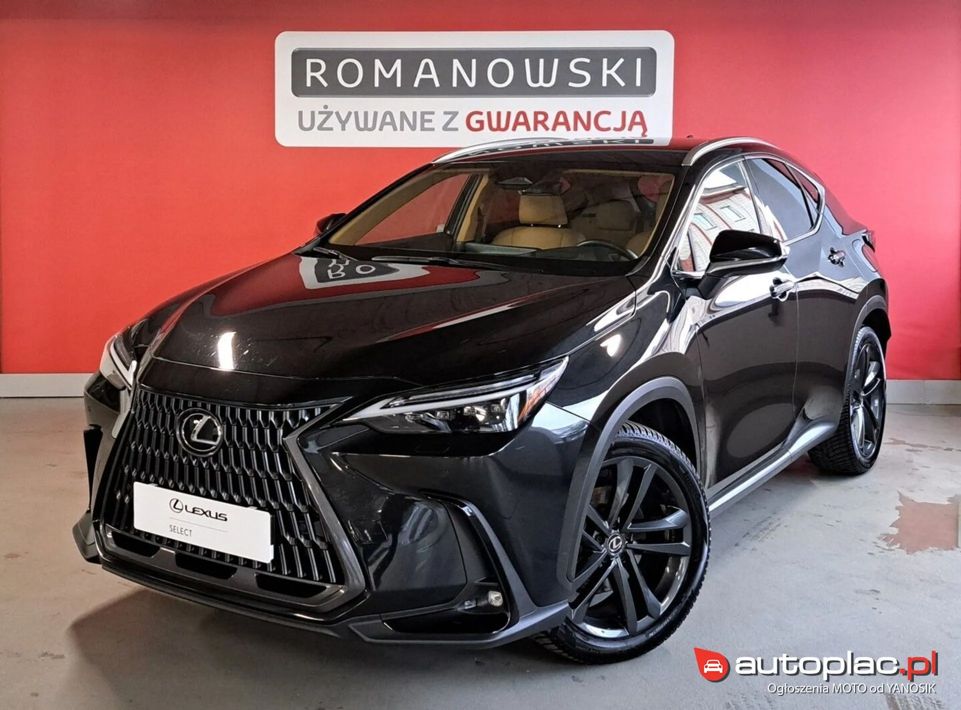 Lexus NX