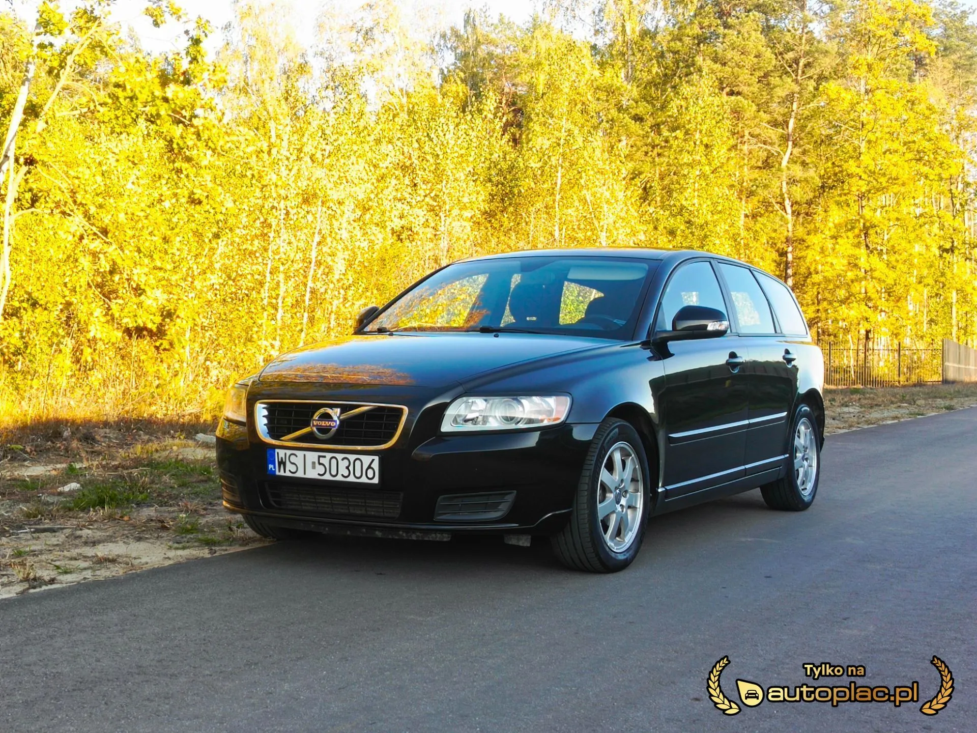 Volvo V50