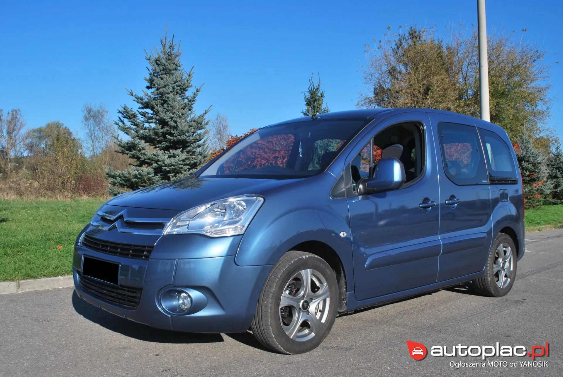 Citroen Berlingo