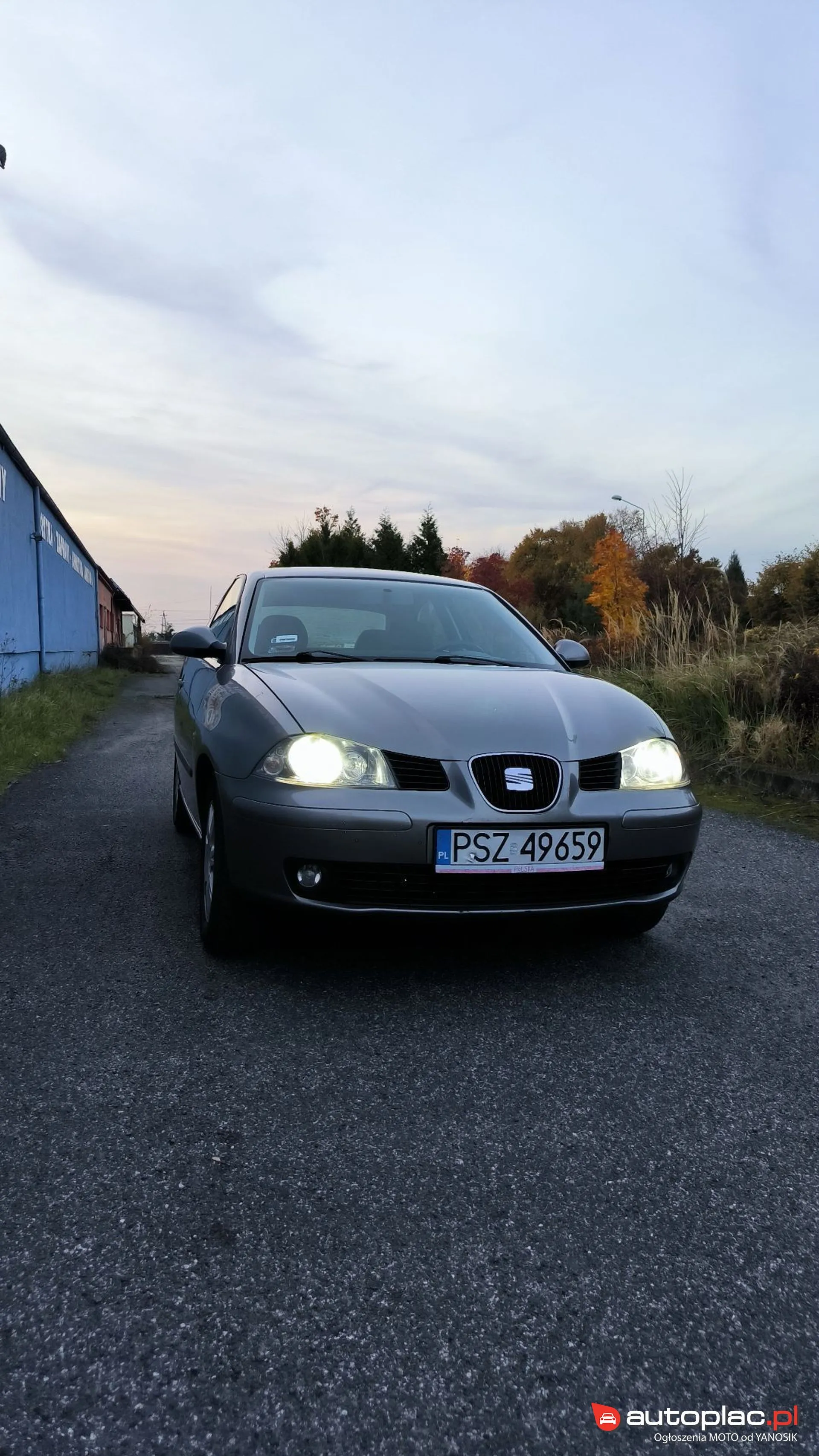 Seat Ibiza