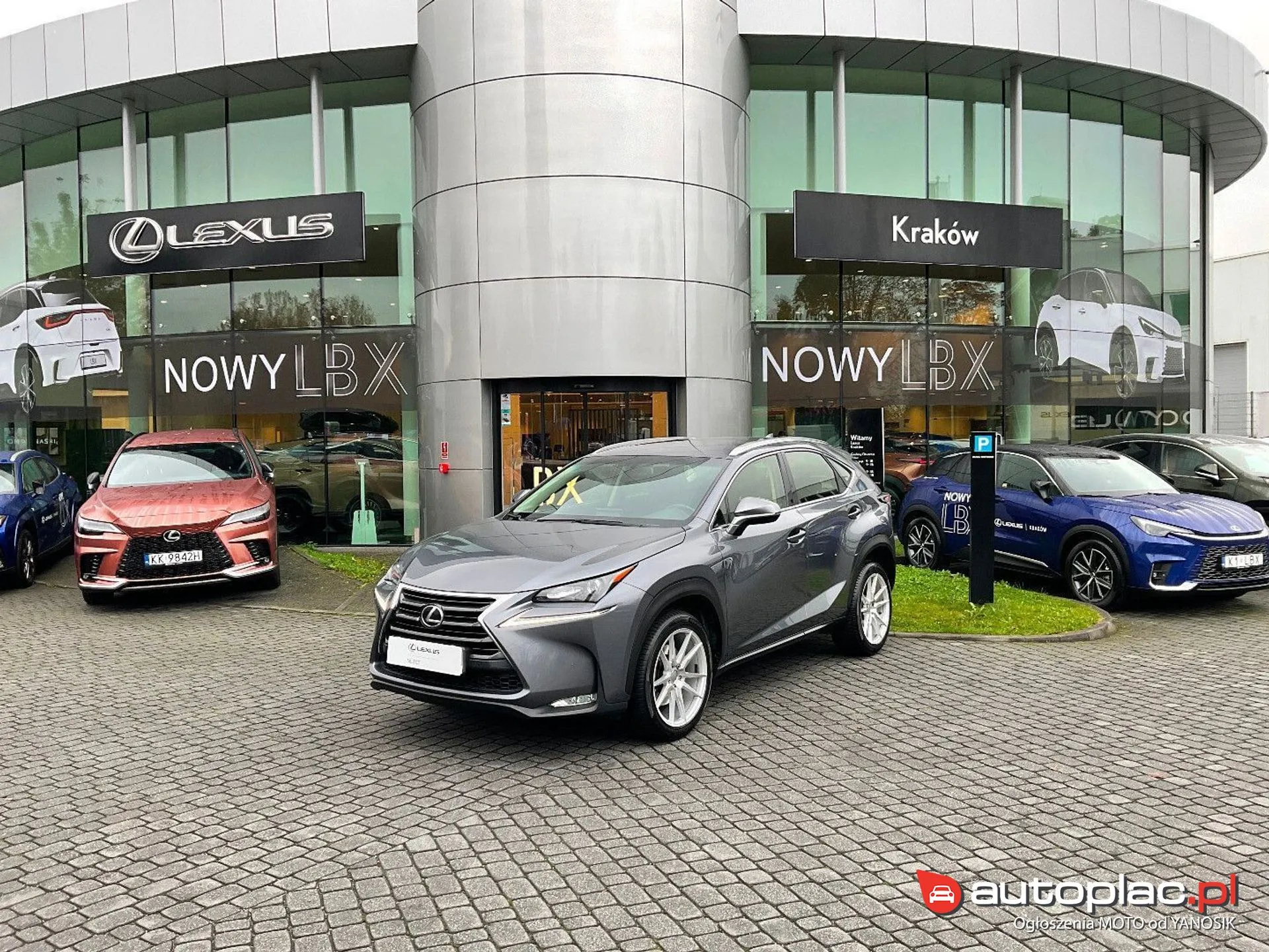 Lexus NX