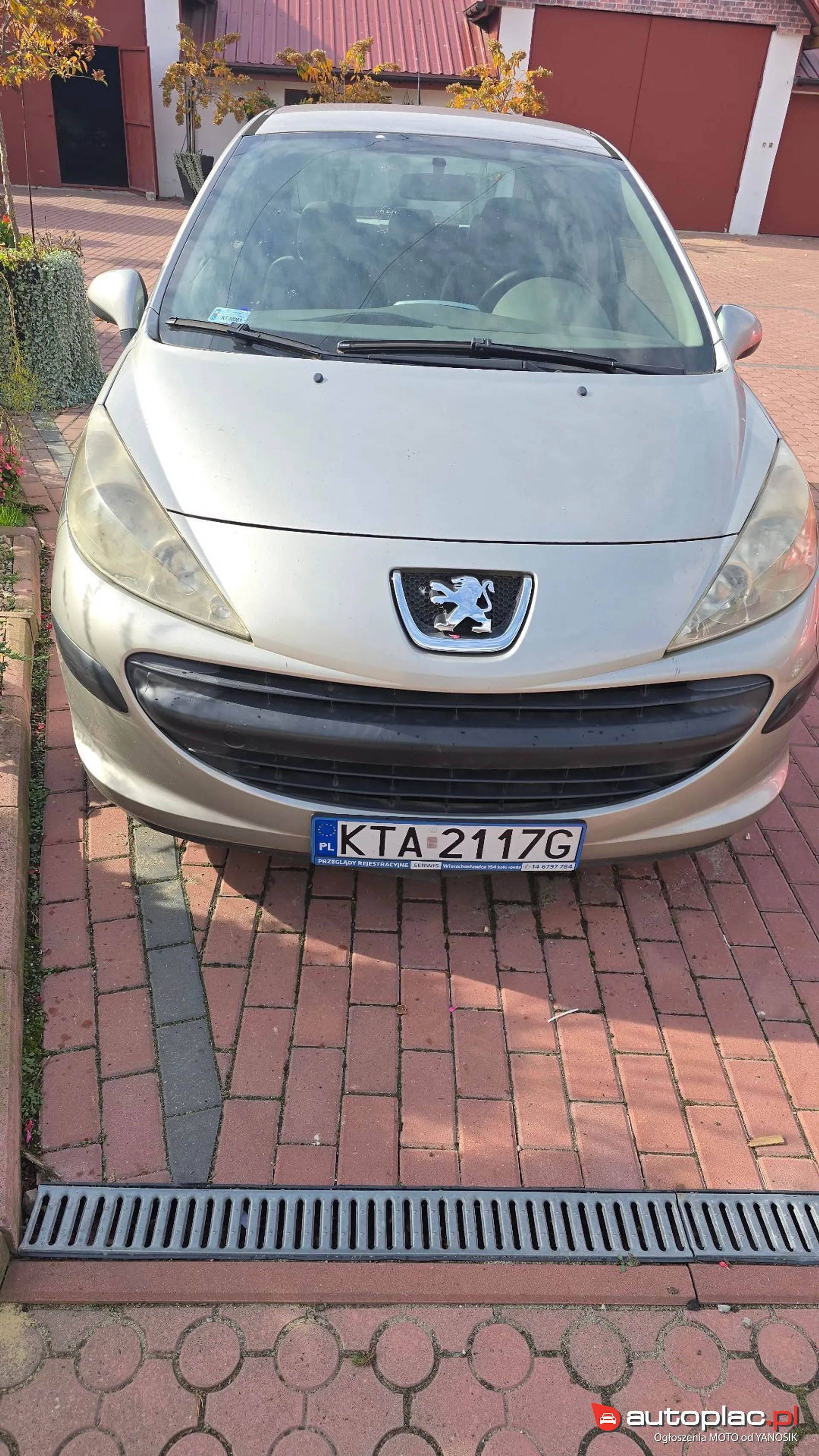 Peugeot 207