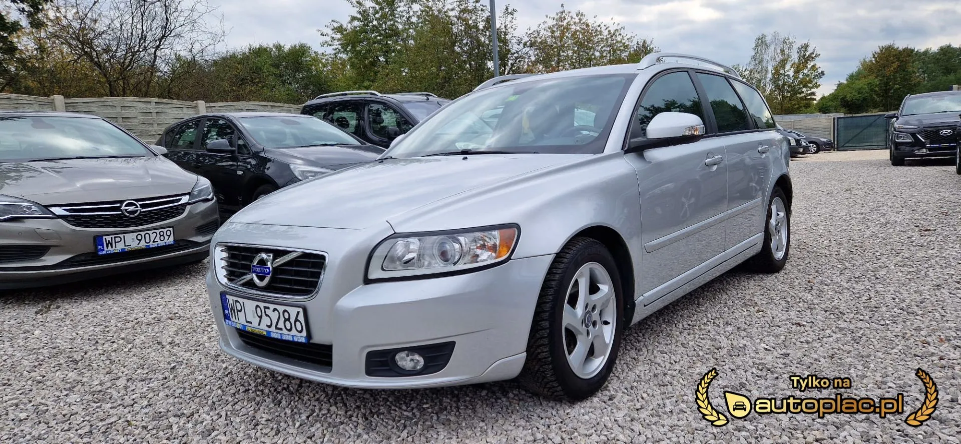 Volvo V50