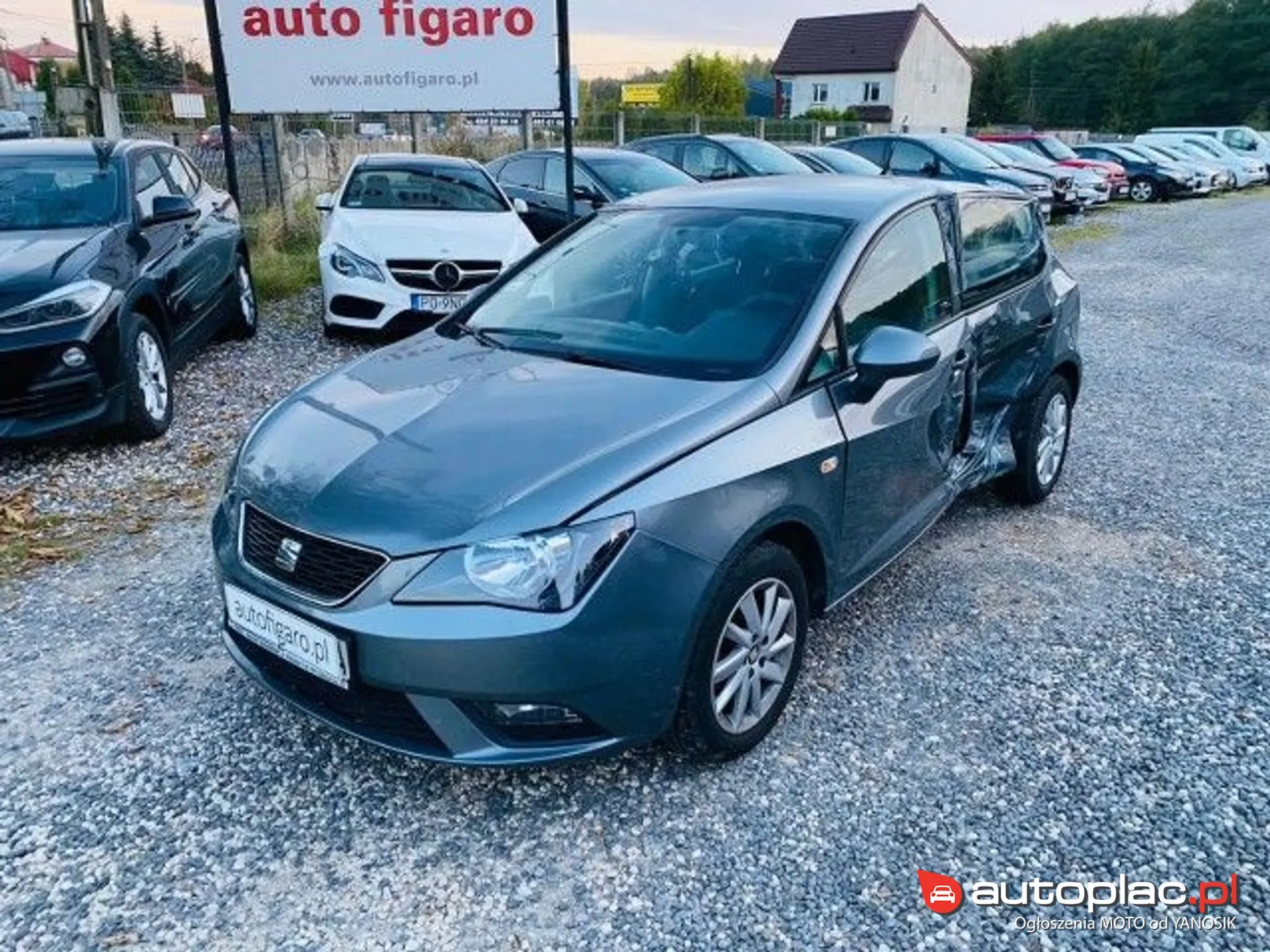 Seat Ibiza