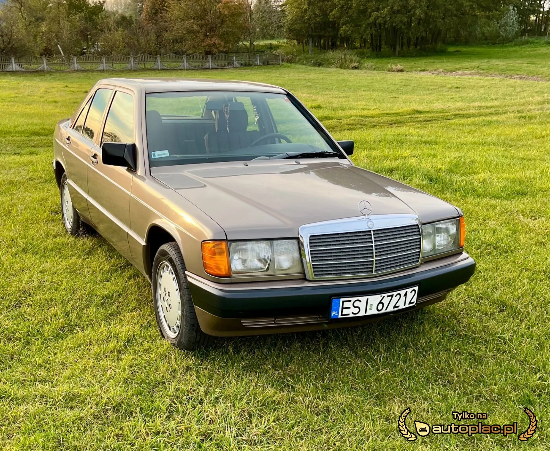 Mercedes-Benz 190