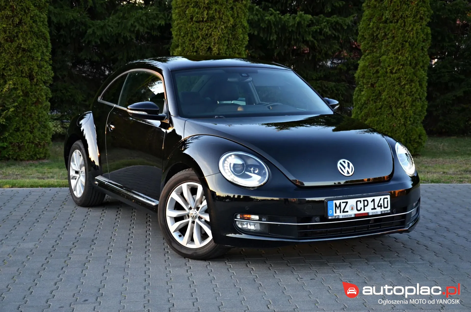 Volkswagen Beetle