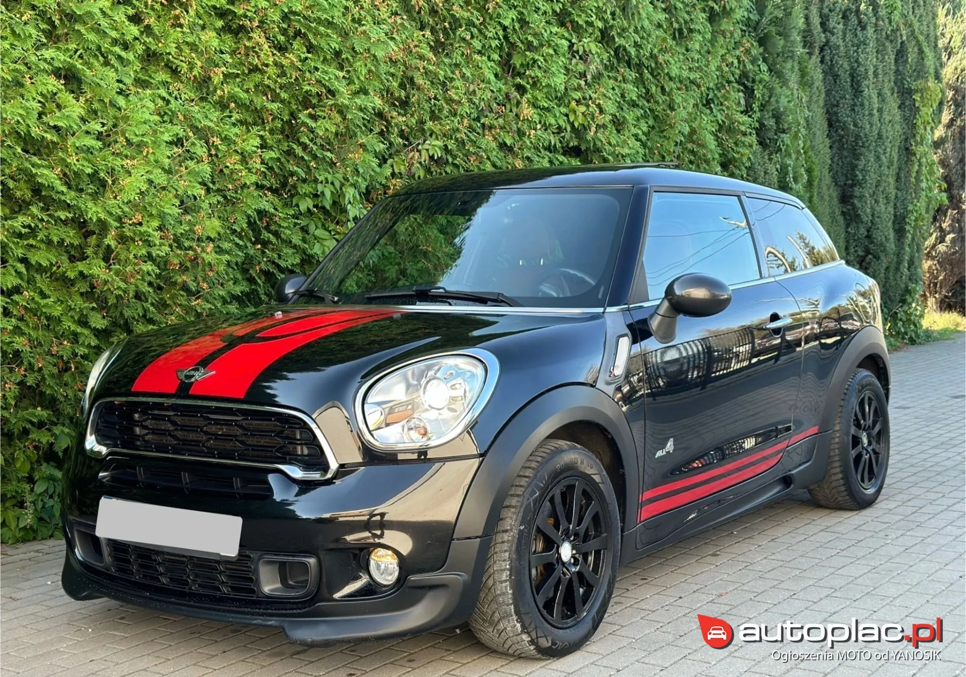 Mini Paceman