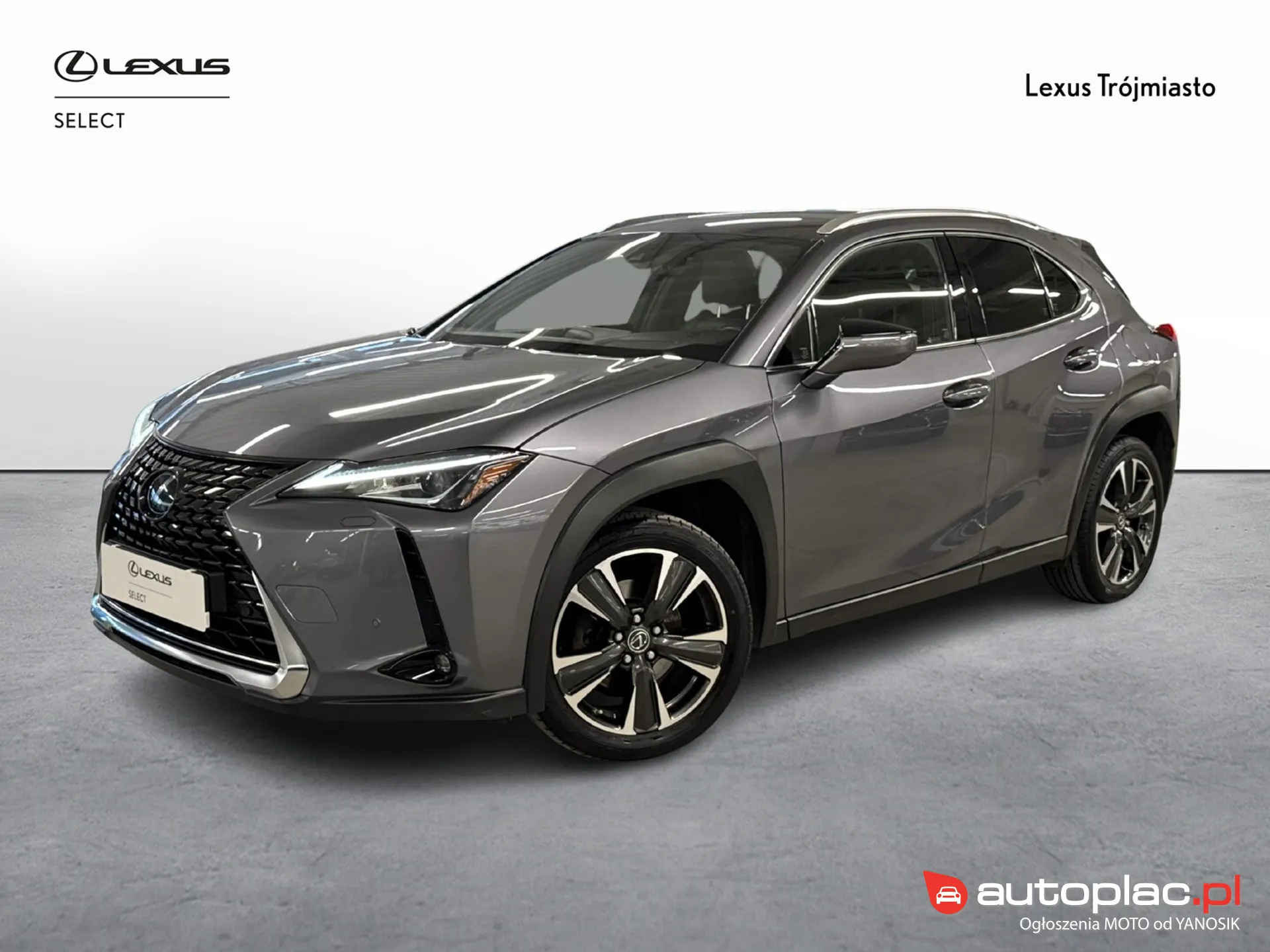 Lexus UX