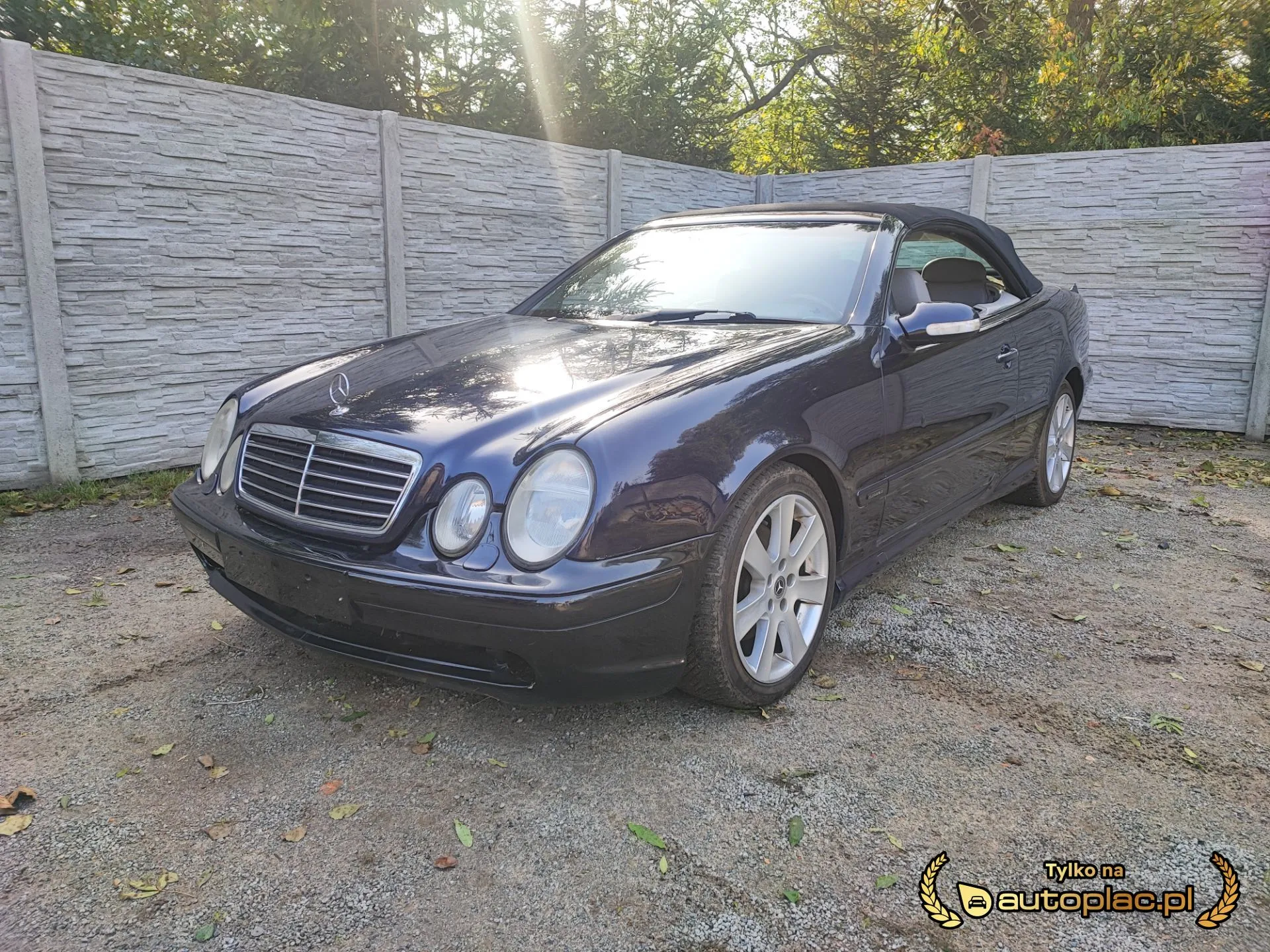 Mercedes-Benz CLK