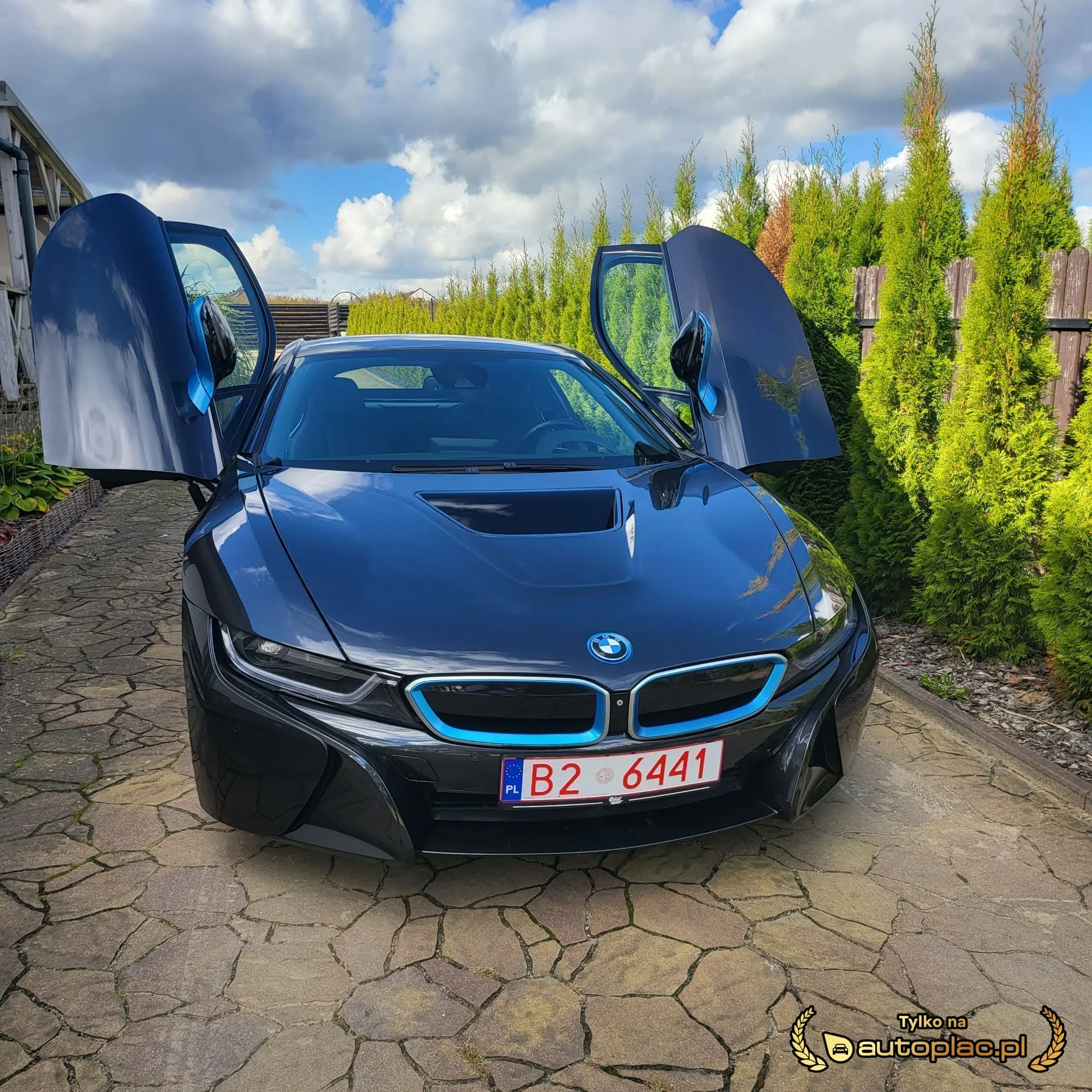 BMW i8