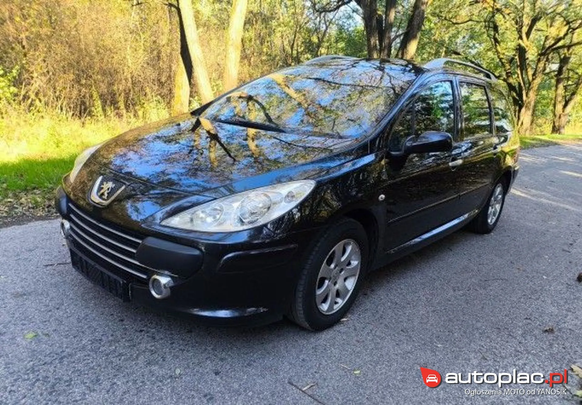 Peugeot 307